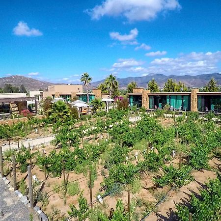 Entre Vinedos By Hotel Boutique Valle De Guadalupe Exterior foto