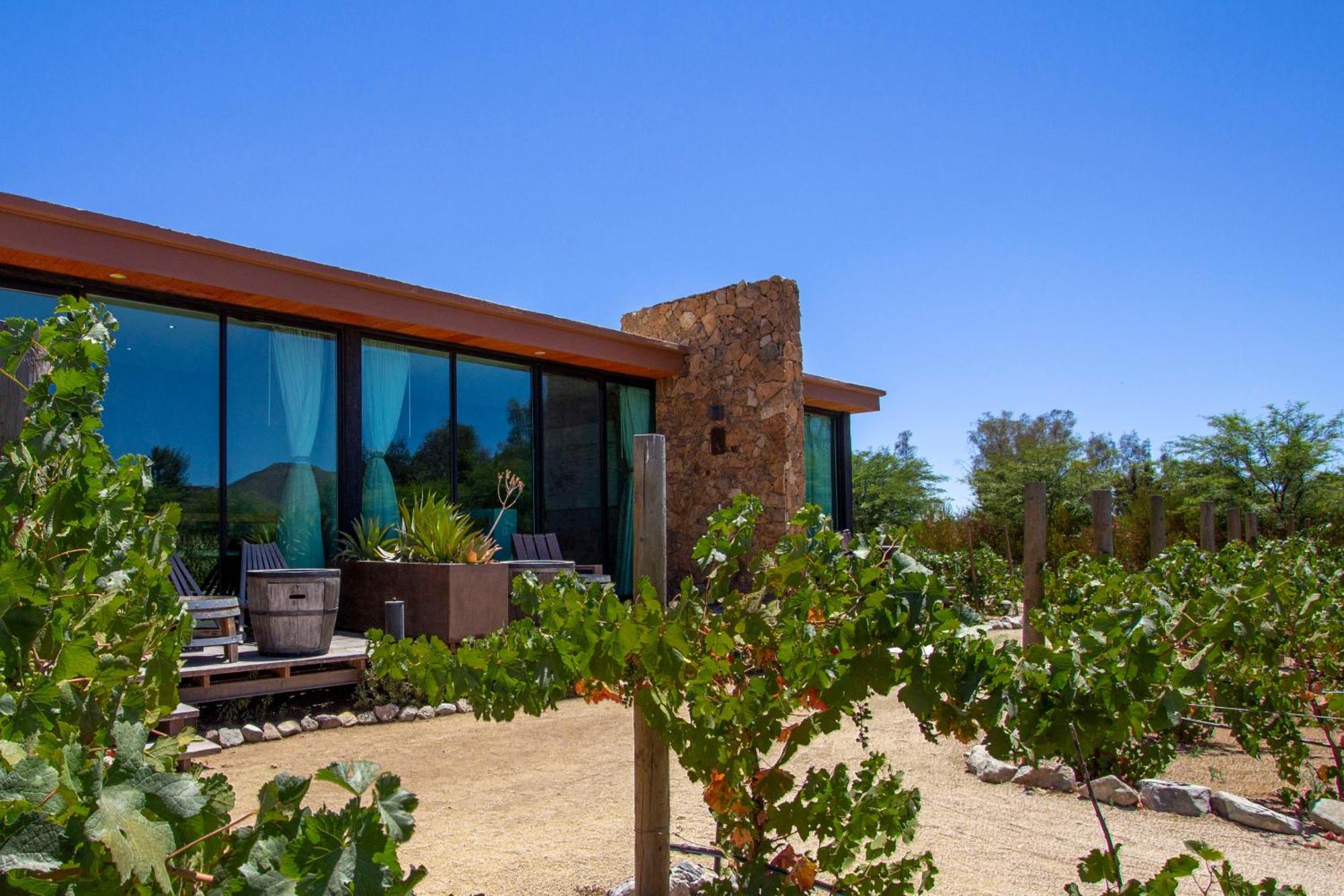 Entre Vinedos By Hotel Boutique Valle De Guadalupe Exterior foto