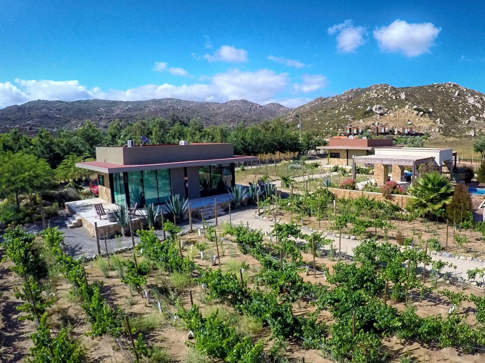 Entre Vinedos By Hotel Boutique Valle De Guadalupe Zimmer foto